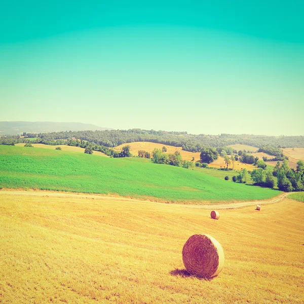 Hay Bales — Stock Photo, Image