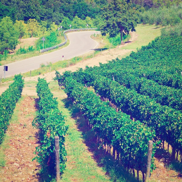 Weinberge — Stockfoto