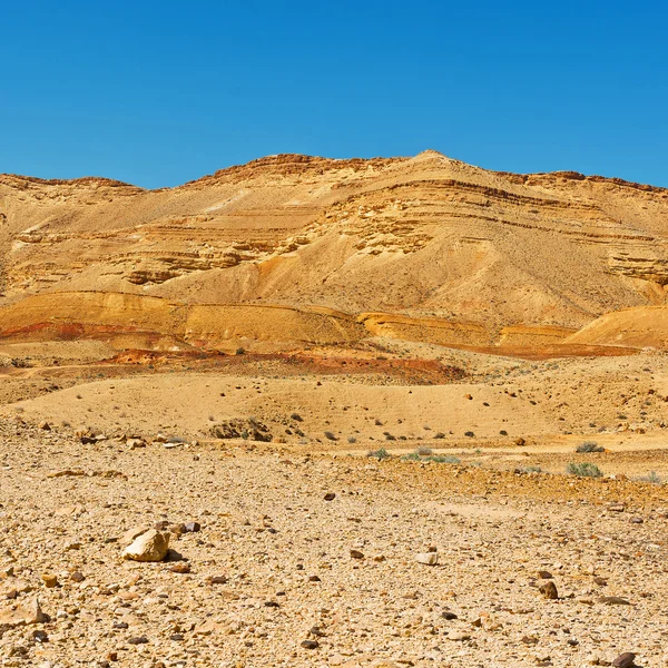 Öken i israel — Stockfoto