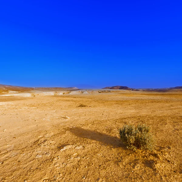 Desert — Stock Photo, Image