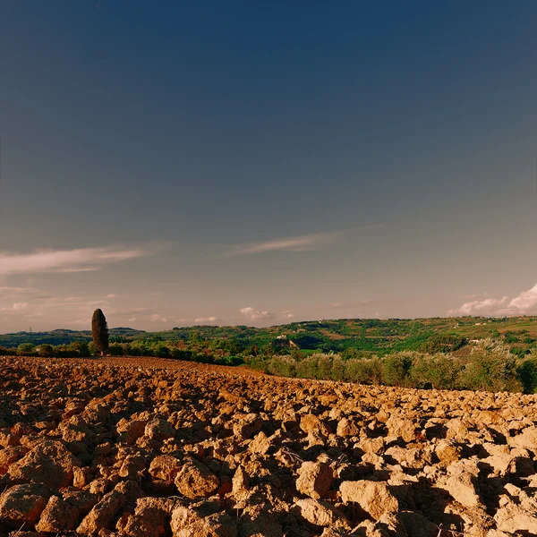 Collines labourées — Photo