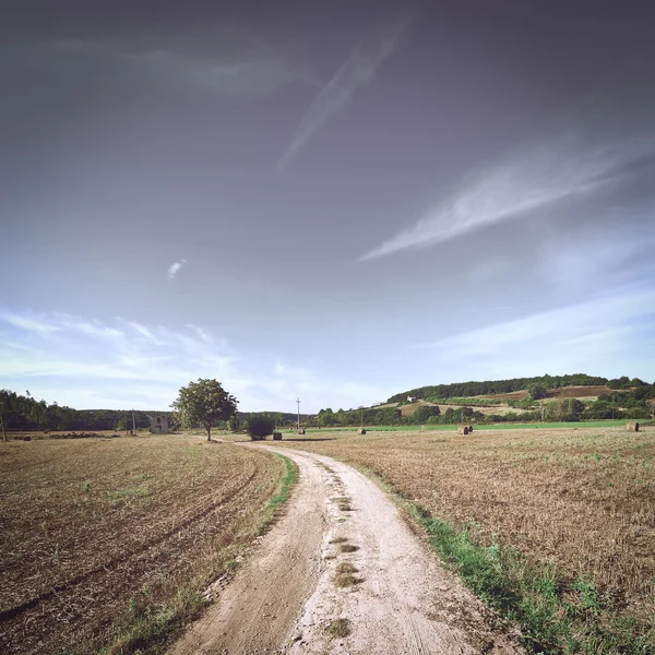 Camino de tierra —  Fotos de Stock