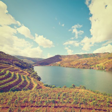 nehir douro