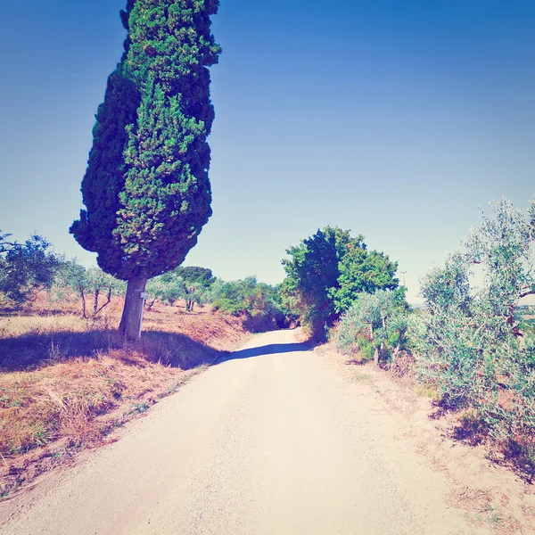 Dirt Road — Stock Photo, Image