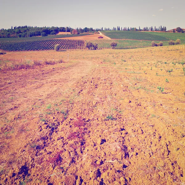 Geploegd velden — Stockfoto