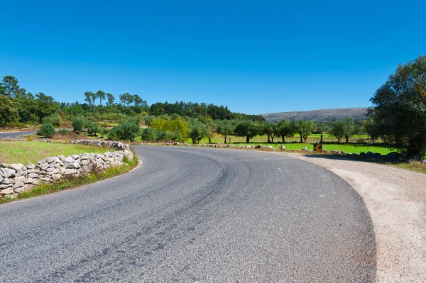 Asfalt yolu — Stok fotoğraf