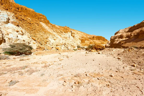 Desert — Stock Photo, Image