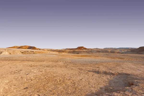 Deserto — Foto Stock