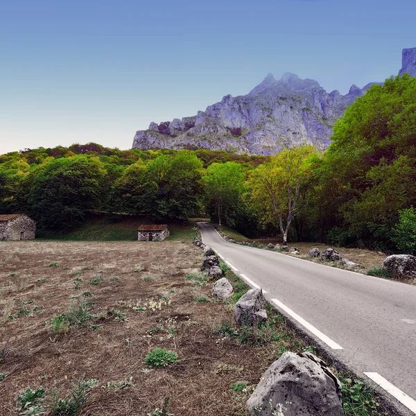 Estrada de asfalto — Fotografia de Stock