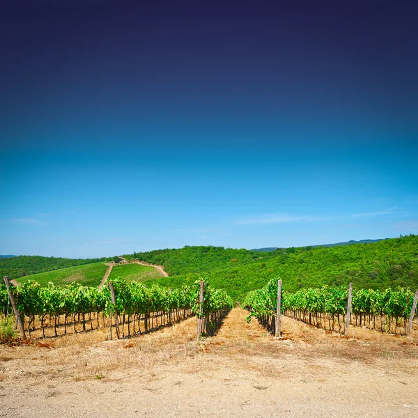 Toscana — Stockfoto