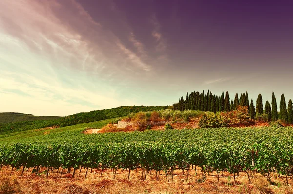 Hügel der Toskana mit Weinbergen im Chianti bei Sonnenuntergang — Stockfoto