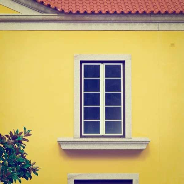 Window — Stock Photo, Image