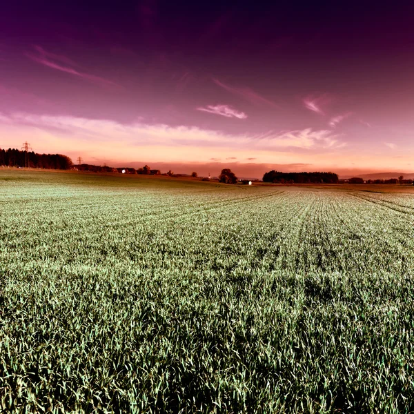 Pôr do sol — Fotografia de Stock