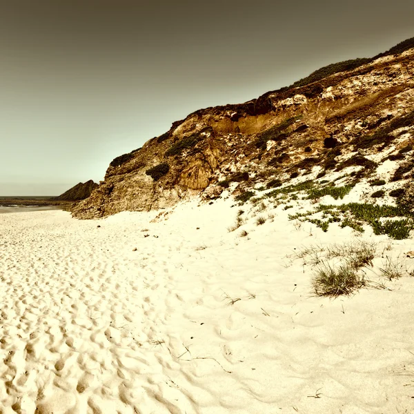 Pláž — Stock fotografie