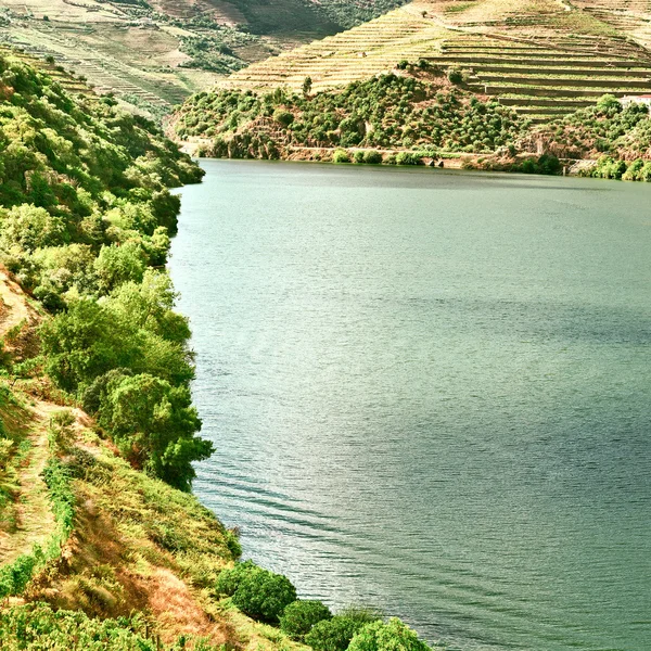 Údolí douro — Stock fotografie