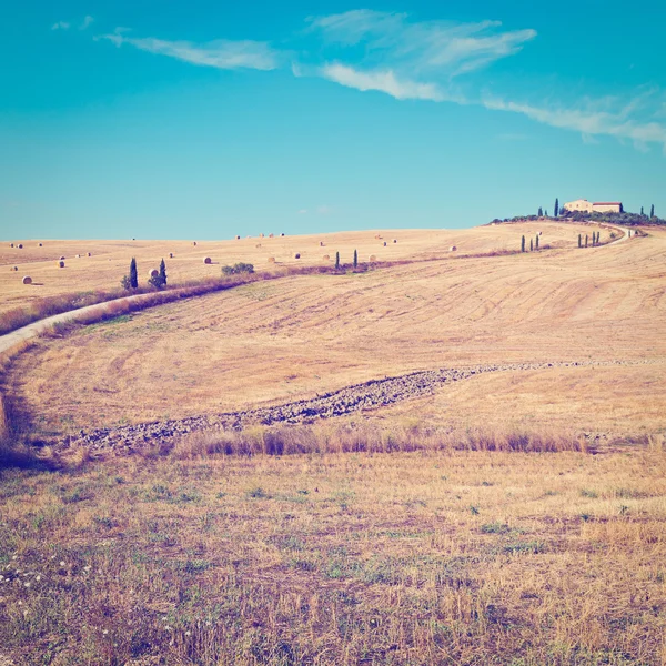 Camino de tierra — Foto de Stock