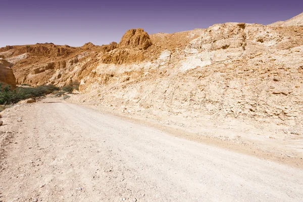 Canyon in het voorjaar van — Stockfoto