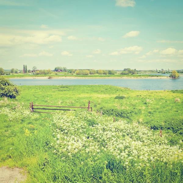 Pasture — Stock Photo, Image