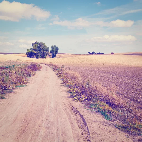 Strada sterrata — Foto Stock