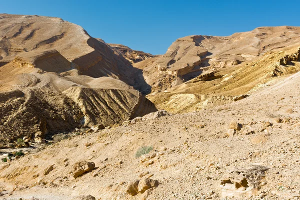 Israel öknen — Stockfoto