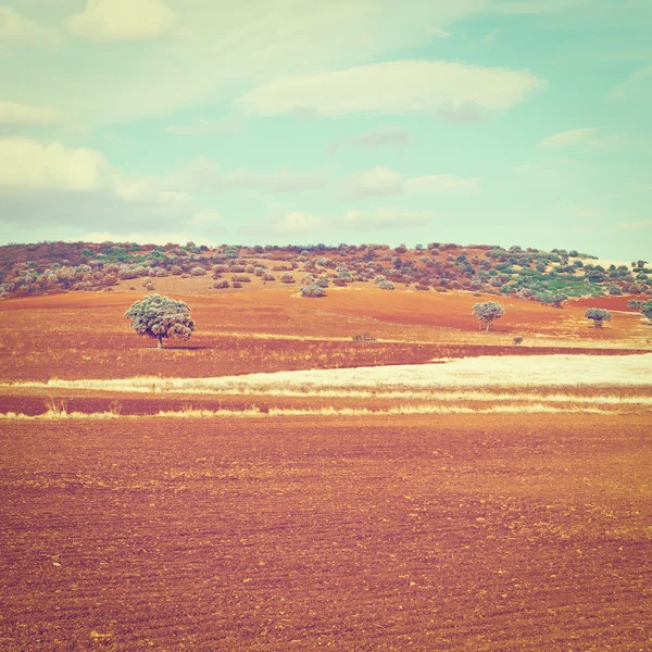スペインの丘 — ストック写真