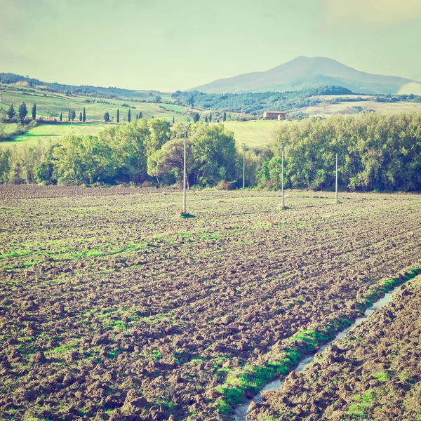 Collines De La Toscane — Photo