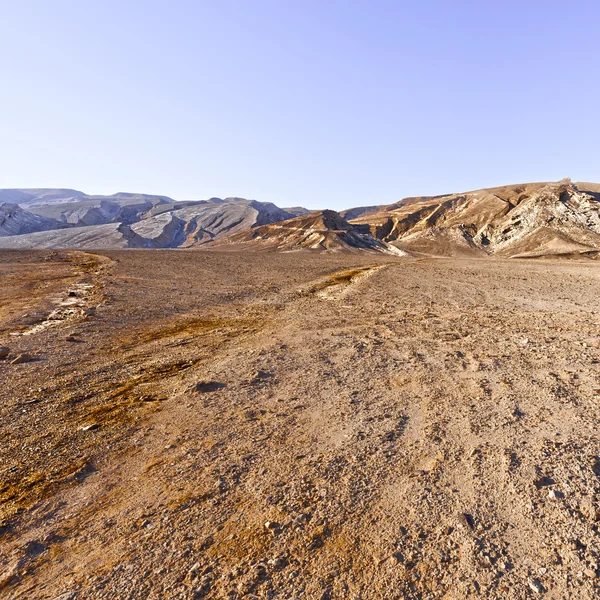 Günbatımı çöl — Stok fotoğraf