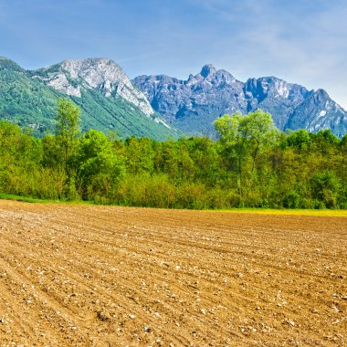 sürülmüş alanlar