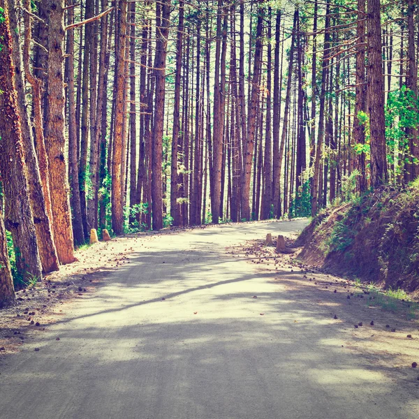 Strada in Italia — Foto Stock