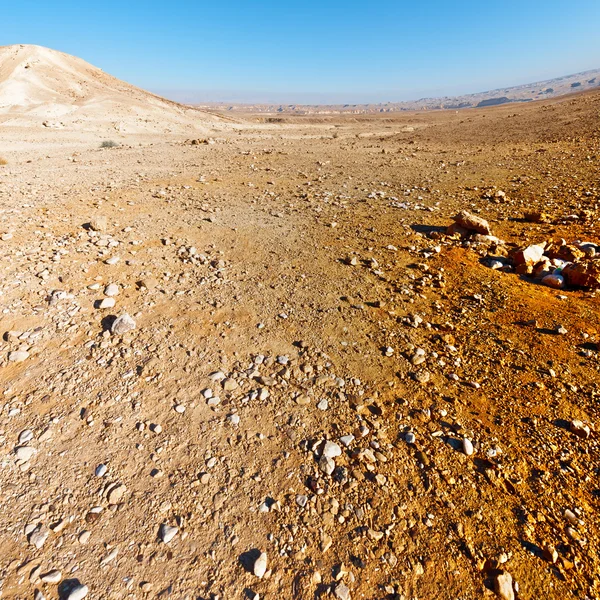 Deserto di pietra — Foto Stock