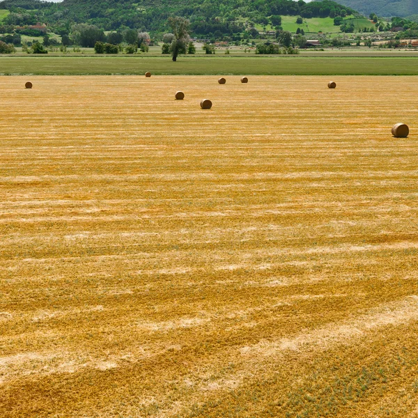 Paisagem — Fotografia de Stock