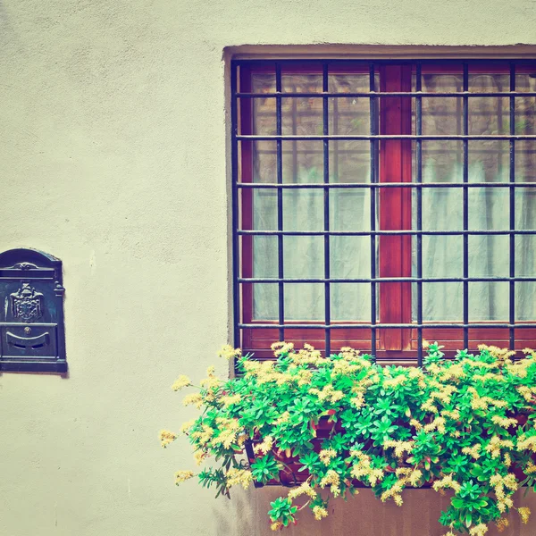 Fenster — Stockfoto