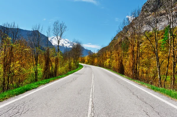 Camino de asfalto — Foto de Stock