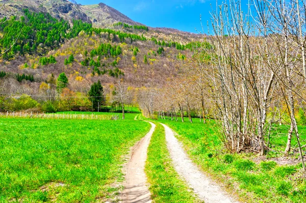 Strada sterrata — Foto Stock