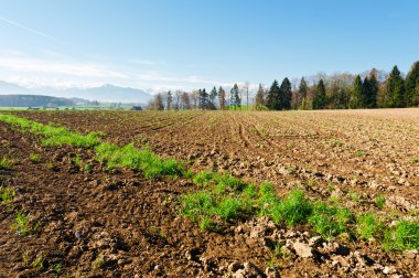 sürülmüş alanlar