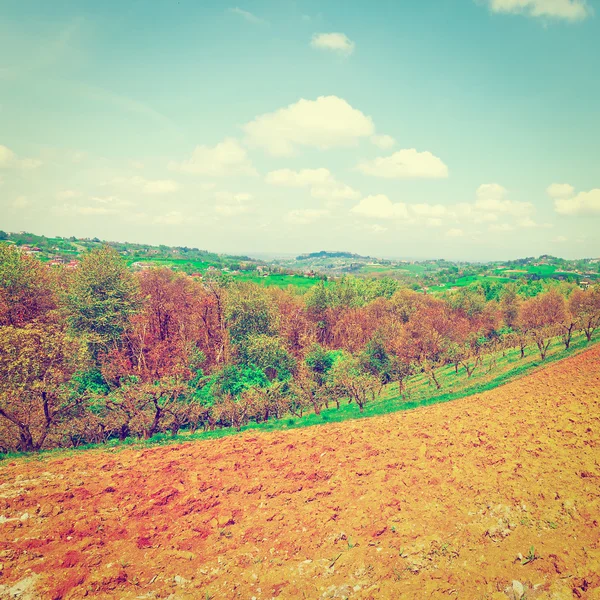 Campos e bosques — Fotografia de Stock