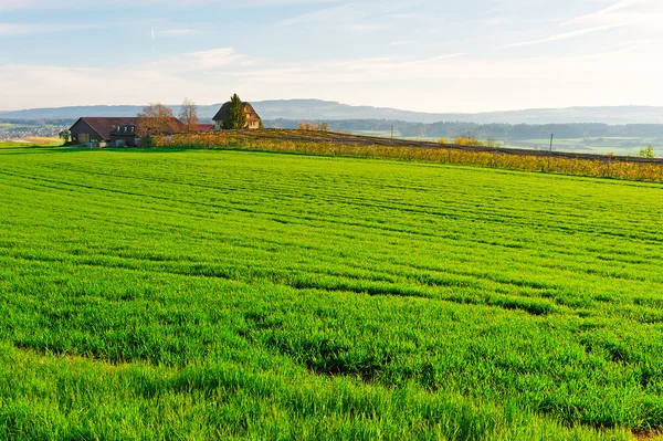 Farmhouse — Stock Photo, Image