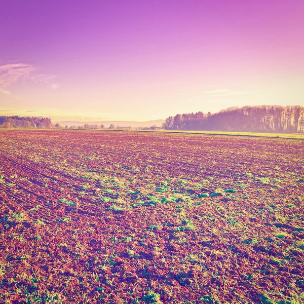 Fields at Sunrise — Stock Photo, Image