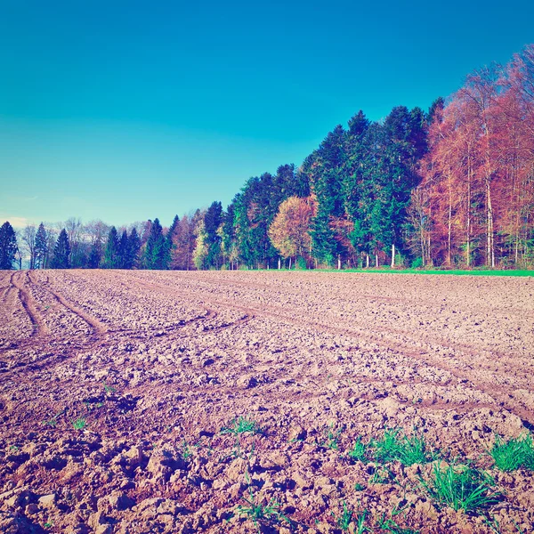 Campos arados — Fotografia de Stock