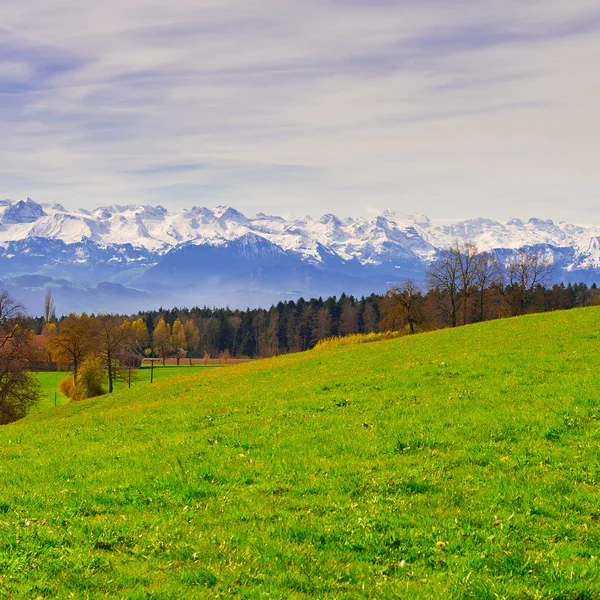 Met sneeuw bedekte Alpen — Stockfoto