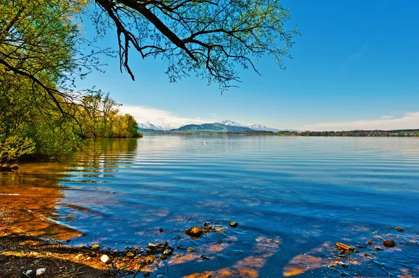 Lake Zuger — Stockfoto