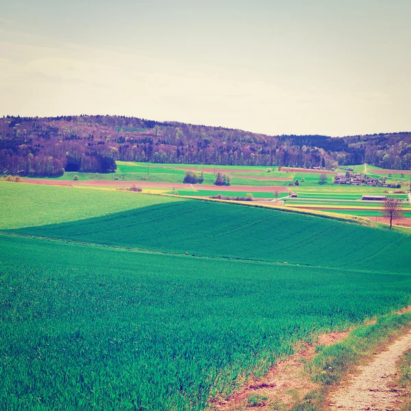 Fields — Stock Photo, Image