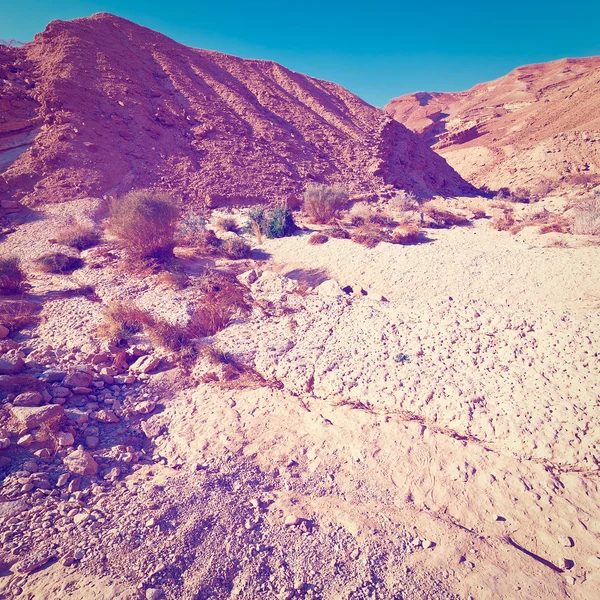 Taşlar — Stok fotoğraf