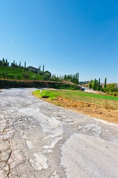 Paved Road — Stock Photo, Image