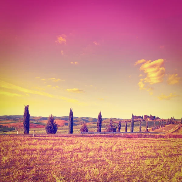 Toscana — Foto Stock