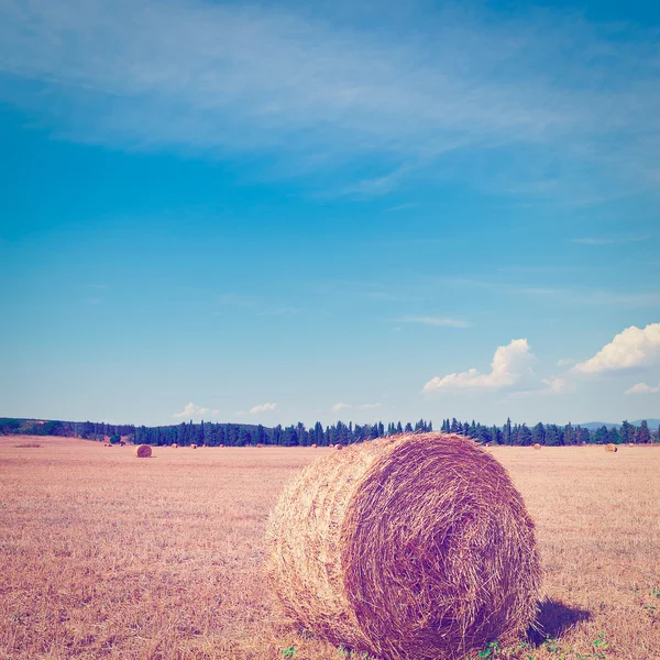 Hay Bales — Stock Photo, Image