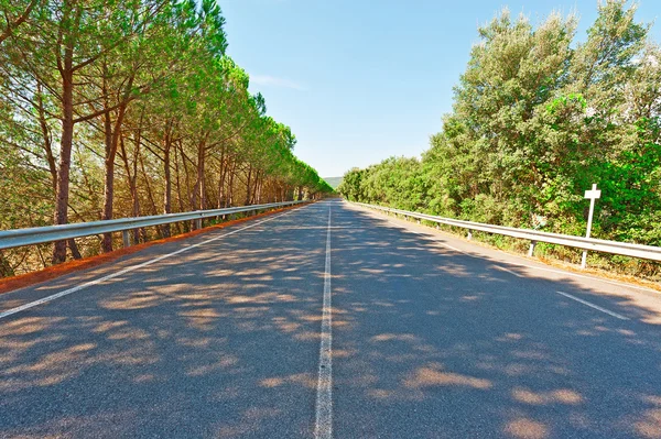 Carretera —  Fotos de Stock