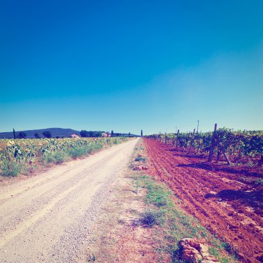 Toprak yol