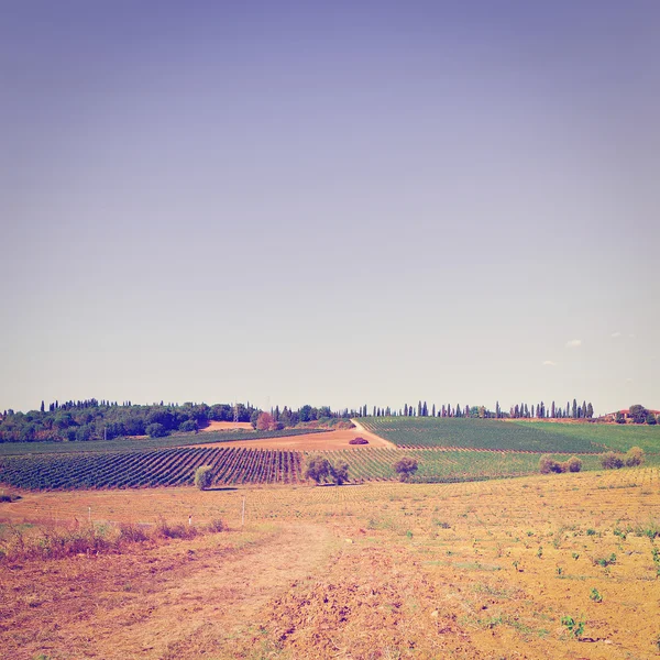 Plowed Fields — Stock Photo, Image