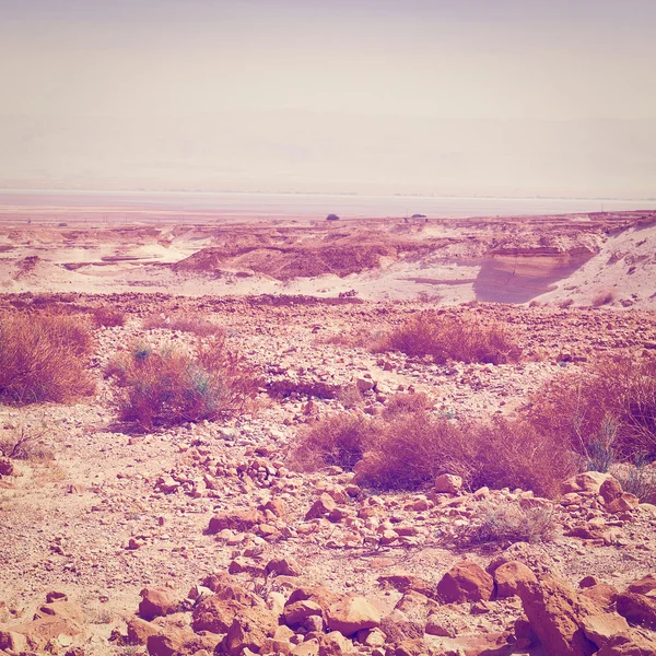 Judejská poušť — Stock fotografie